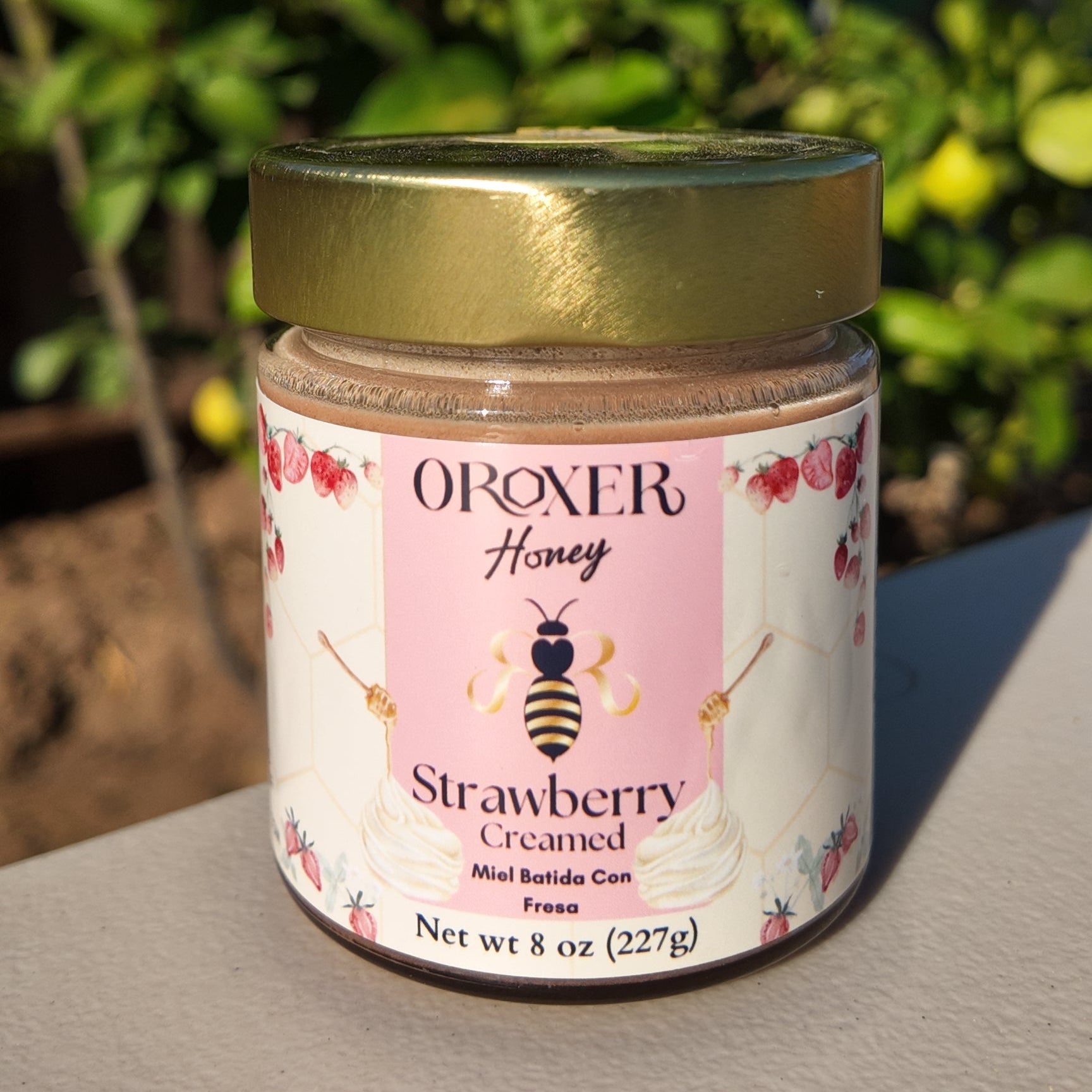 Jar of Oroxer Strawberry Creamed Honey on a surface with a blurred natural background

Honey, honeycomb, bee, pollen, miel, abeja, penca, fresa, strawberry
